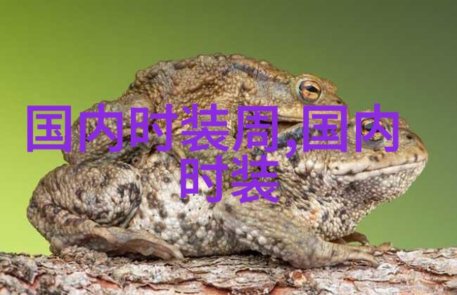 2015秋冬上海时装周Decoster秀场